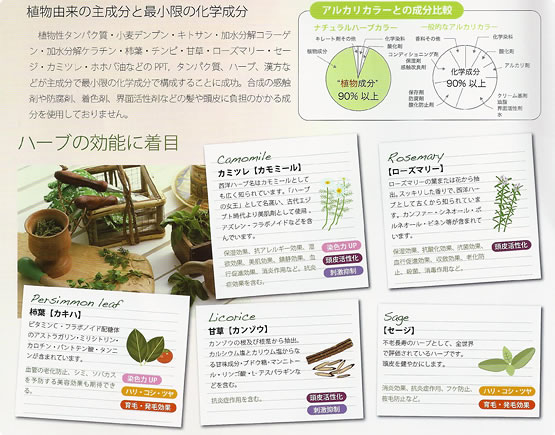 �i�`�������n�[�u�J���[�R�[�X�C���[�W