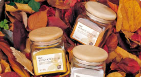 �e�B�A���J���[�R�[�X�C���[�W�P