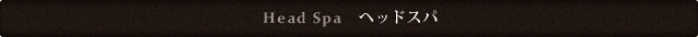 HeadSpa�@�w�b�h�X�p